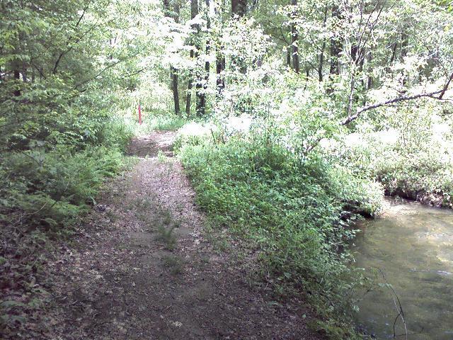 A narrow dirt path surrounded by lush greenery leads towards a creek. Sunlight filters through the dense tree canopy, casting a soft glow on the foliage. A red marker can be seen on the left side of the path, indicating the trail's direction. Unicoi State Park mountain bike trail.