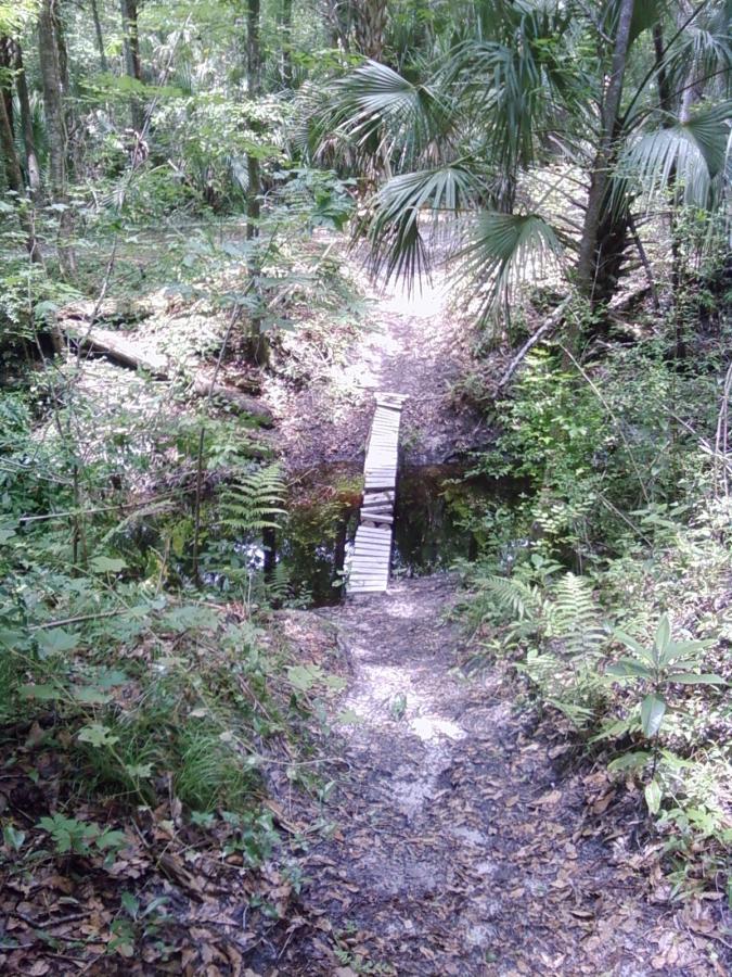 A narrow wooden bridge spans a small stream in a dense forest. Lush green foliage and palm trees surround the scene, with a natural footpath leading to the bridge. Sunlight filters through the trees, creating dappled light on the ground. Soldier Creek Park mountain bike trail.