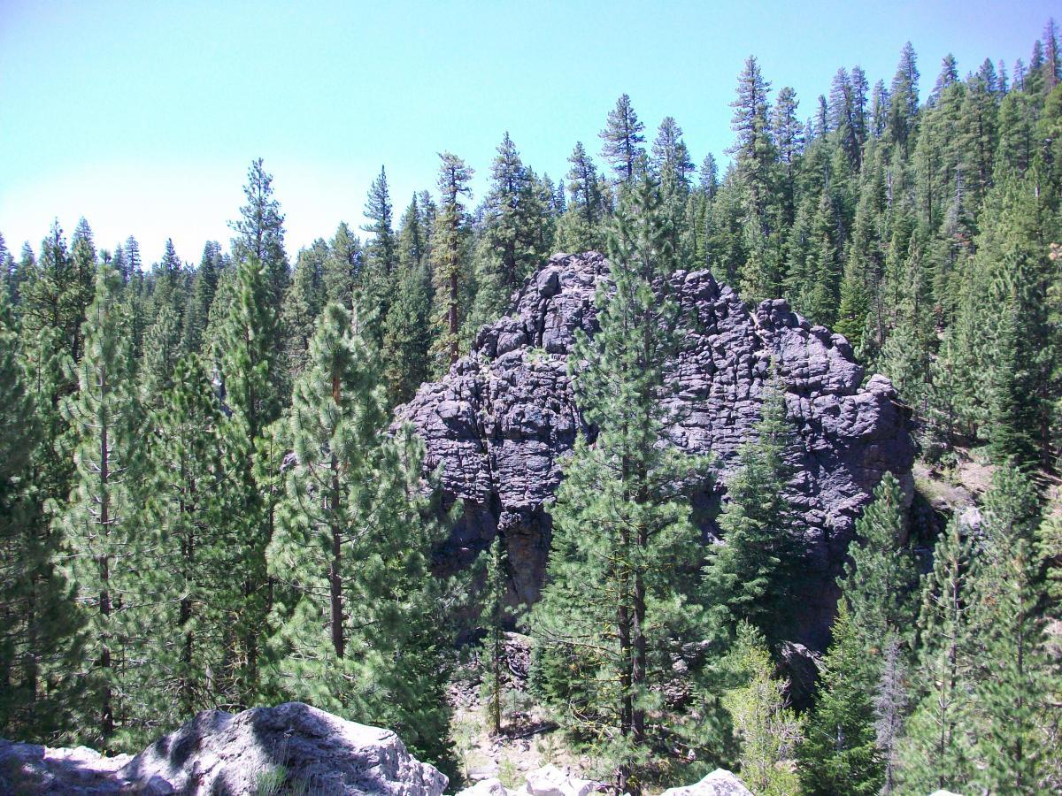 A rocky outcrop surrounded by tall evergreen trees under a clear blue sky. The dense forest features a variety of coniferous trees, creating a lush and tranquil natural setting. Lunch and Susanville mountain bike trail.