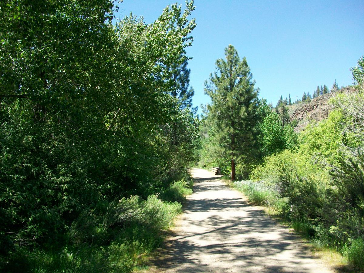 A scenic dirt pathway surrounded by lush greenery, including trees and shrubs, leading into a bright blue sky. The path appears serene and inviting, with a wooden bench visible along the side for resting. Lunch and Susanville mountain bike trail.