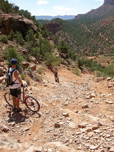 A mountain biker stands on a rocky trail, looking down a steep slope surrounded by greenery and rocky cliffs under a clear blue sky. Kokopelli Trail mountain bike trail.