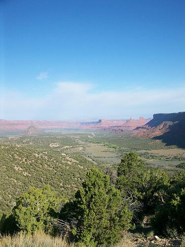 A wide landscape view of a red rock canyon under a clear blue sky, featuring green shrubs in the foreground and distant mesas and cliffs in the background. Kokopelli Trail mountain bike trail.