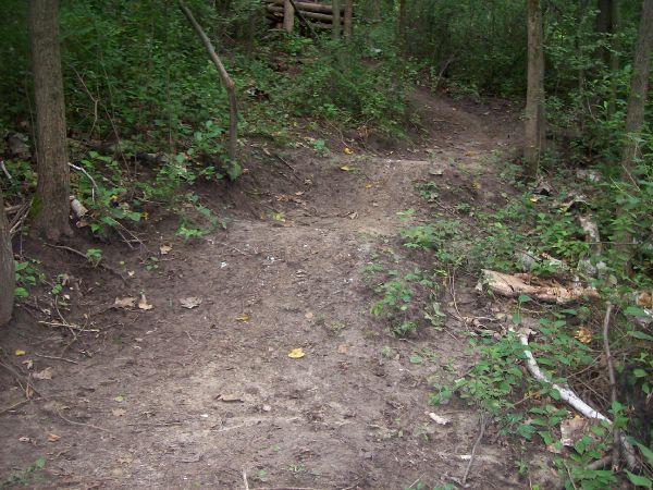 A dirt trail winding through a wooded area, surrounded by greenery and small plants. The path shows signs of use, with a few exposed roots and fallen leaves scattered along the ground. Memorial Park mountain bike trail.