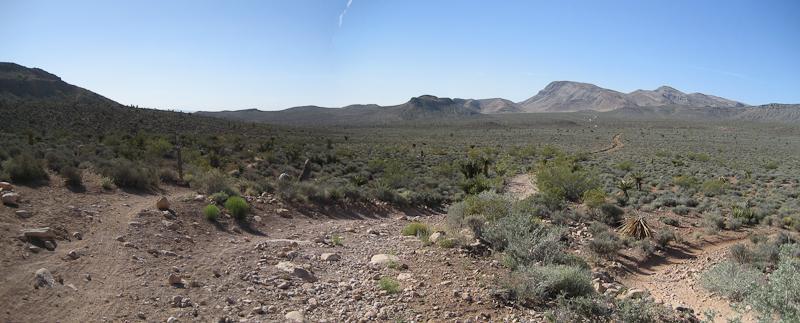 A panoramic view of a desert landscape featuring rocky terrain, sparse shrubs, and distant mountains under a clear blue sky. Two dirt paths diverge in the foreground, leading into the expansive wilderness. Blue Diamond mountain bike trail.