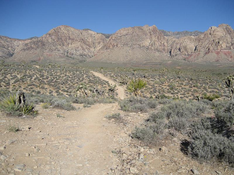 A dirt path winding through a desert landscape, surrounded by sparse vegetation and rocky mountains under a clear blue sky. Blue Diamond mountain bike trail.