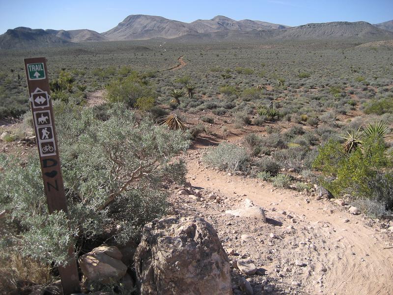 A trail sign marking a path in a desert landscape, with mountains in the background and sparse vegetation, including shrubs and yucca plants. The sign displays symbols indicating trail usage for hikers, cyclists, and equestrians. The view showcases a winding dirt trail leading into the distance. Blue Diamond mountain bike trail.