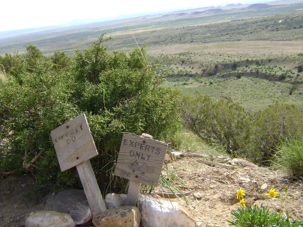 A scenic viewpoint featuring two wooden signs partially obscured by greenery, with one reading "DO NOT" and the other "EXPERTS ONLY." In the background, a vast landscape of rolling hills and open fields stretches under a clear sky. Yellow wildflowers bloom at the forefront. Zippety Do Dah mountain bike trail.