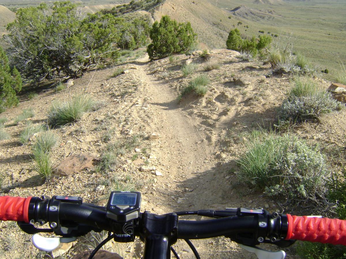 Alt text: A mountain bike is shown from the perspective of the handlebars, with a rugged dirt trail winding through a hilly landscape. The trail is surrounded by patches of grass and small bushes, indicating a natural outdoor setting. A digital display on the handlebars shows information as the rider prepares to navigate the trail. Zippety Do Dah mountain bike trail.