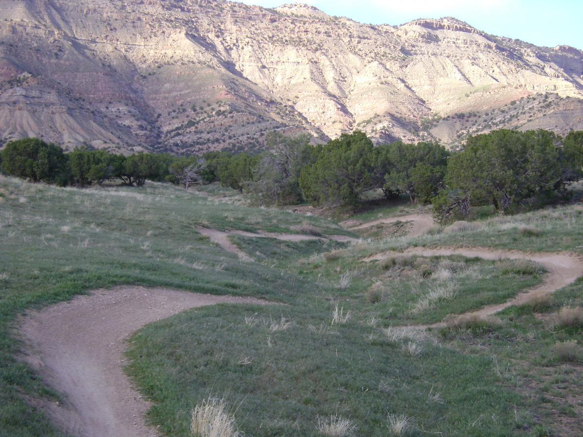 A winding dirt path curves through a grassy landscape, flanked by green shrubs and trees, with rugged mountains in the background. The scene captures the natural beauty of a serene outdoor setting. Kessel Run mountain bike trail.