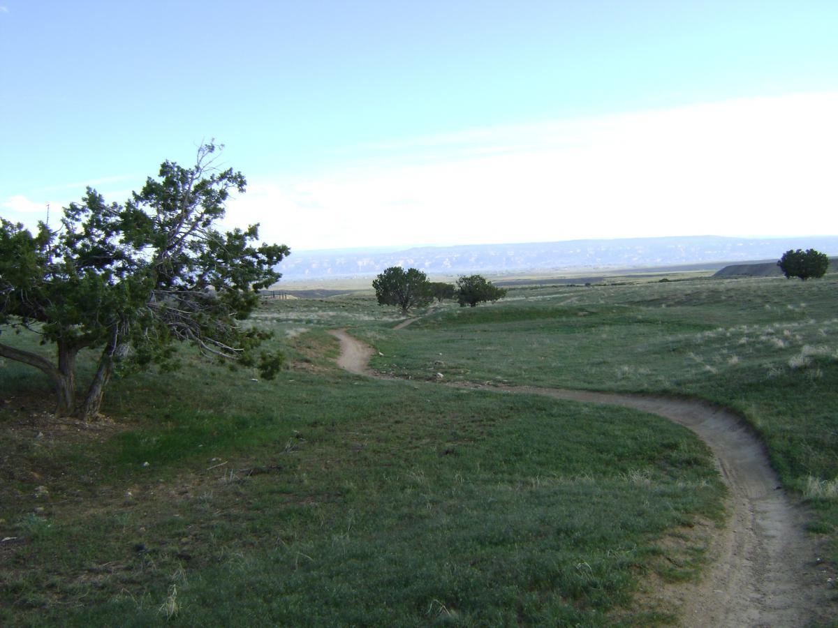 A winding dirt path leads through a grassy landscape dotted with trees, under a clear blue sky with soft clouds. The horizon features distant hills, creating a serene outdoor scene. Kessel Run mountain bike trail.