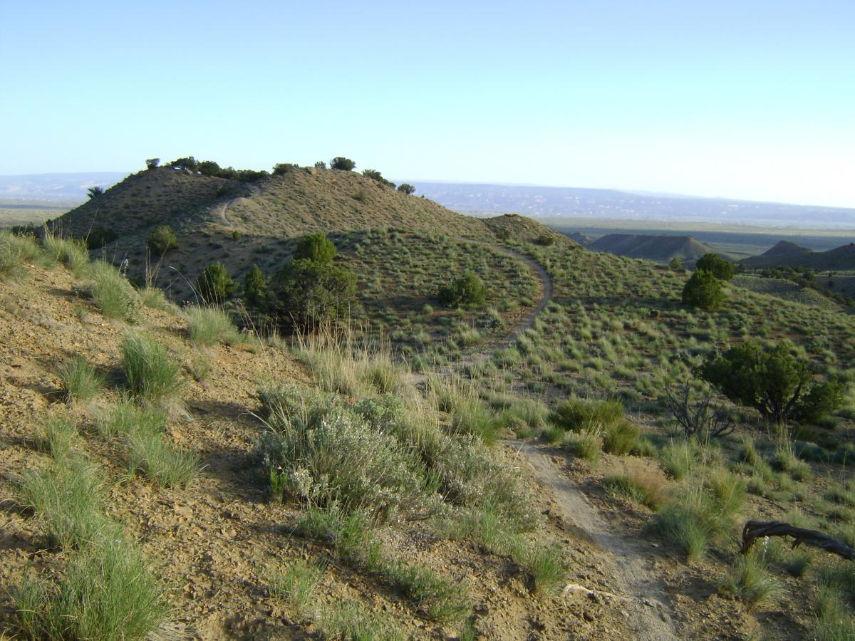 A scenic view of rolling hills and grassy terrain under a clear sky. The landscape features a winding dirt path leading through the hills, dotted with small shrubs and trees. The sunlight casts a warm glow over the natural scenery, showcasing the textures of the earth and vegetation. Joe's Ridge mountain bike trail.