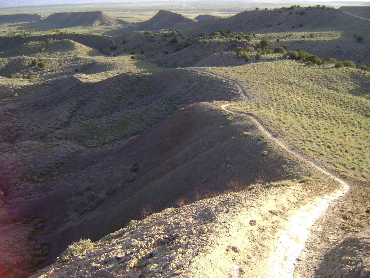 A scenic view of rolling hills and grassy slopes, with a winding dirt path cutting through the landscape. The terrain features a mix of light and shadow, showcasing the undulating topography under a clear sky. Sparse vegetation and small trees dot the hills, leading into the distance where the horizon meets a flat expanse. Joe's Ridge mountain bike trail.