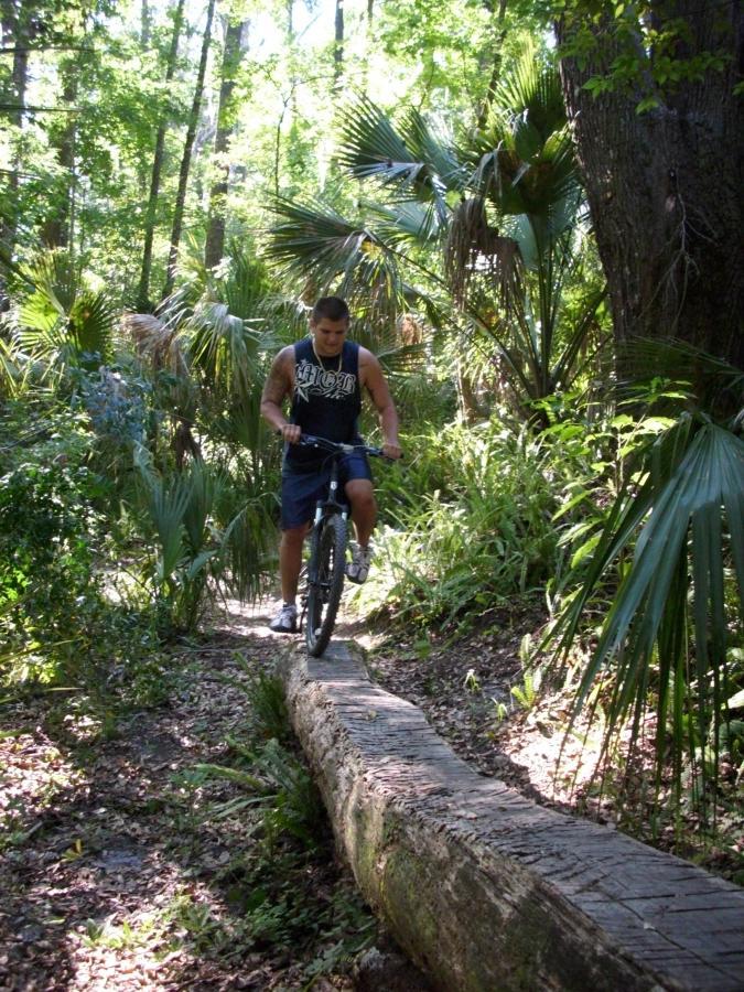 A person riding a mountain bike on a narrow log across a path in a dense, green forest surrounded by tall trees and tropical plants. Chuck Lennon Park mountain bike trail.