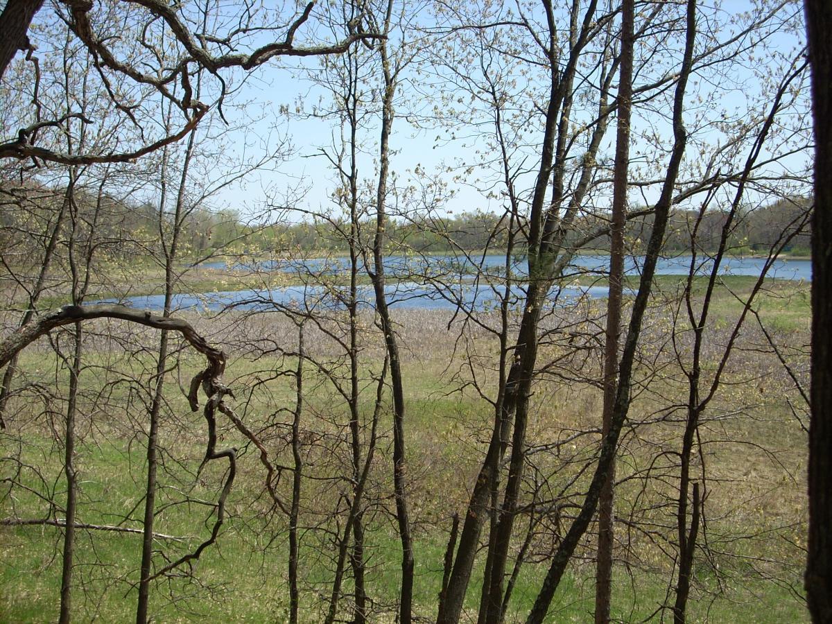 A serene view of a lake bordered by trees, capturing a peaceful natural landscape. The scene features bare branches and budding leaves in the foreground, with vibrant greenery and rippling water visible in the background under a clear blue sky. Standing Rocks mountain bike trail.