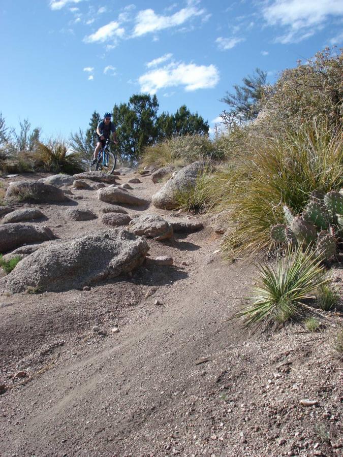 A mountain biker navigating a rocky trail lined with sparse vegetation under a partly cloudy blue sky. Elena Gallegos Open Space / North Foothills mountain bike trail.