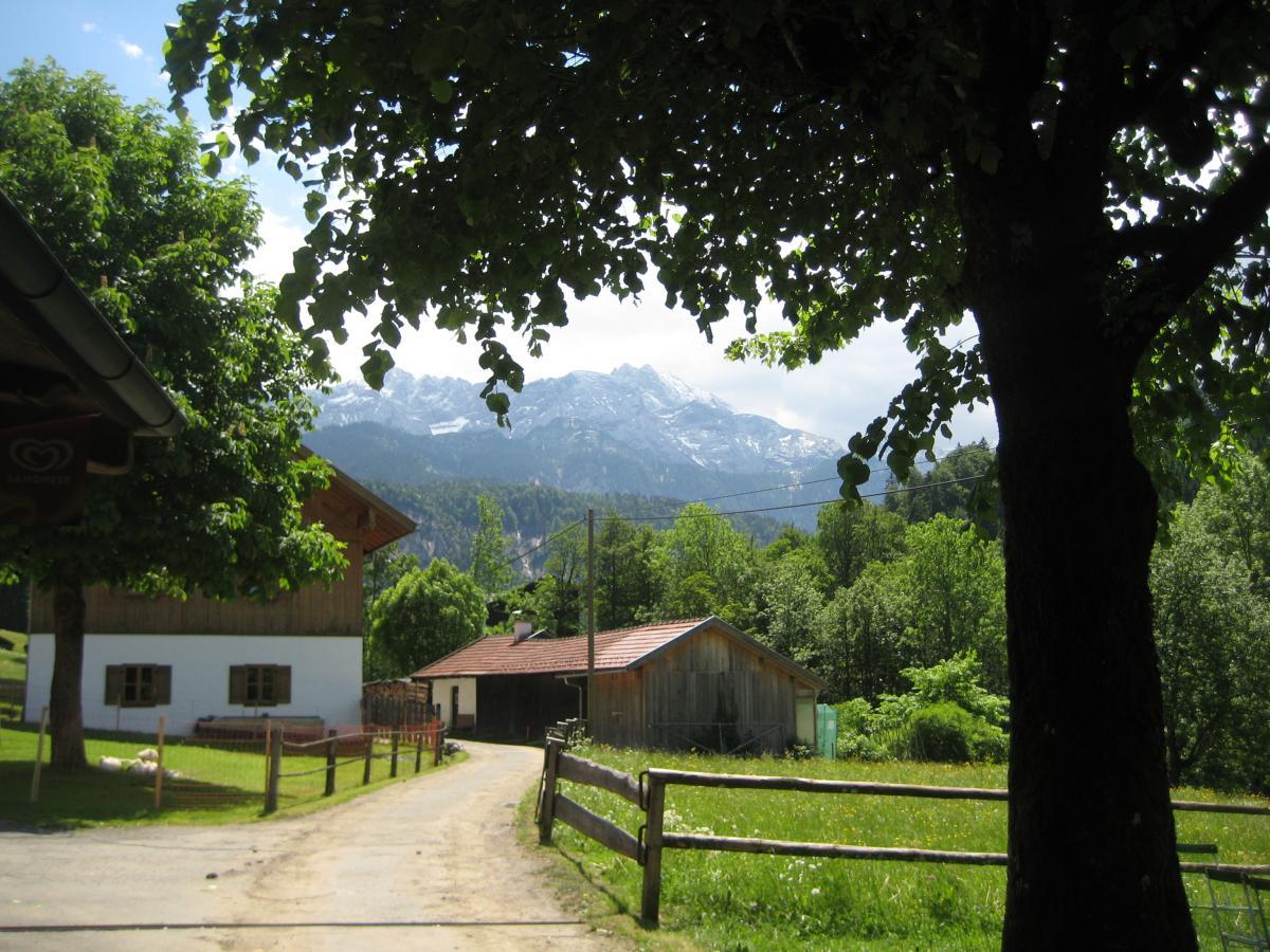 A picturesque scene of a rural landscape featuring a winding dirt path leading towards several traditional wooden houses. Lush green trees line the path, and the backdrop showcases majestic snow-capped mountains under a partly cloudy sky. The area is vibrant with greenery, suggesting a peaceful countryside setting. Garthof Partnachklamm Trail mountain bike trail.