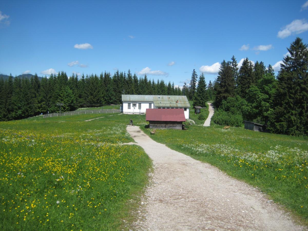 A serene landscape featuring a dirt pathway leading to a quaint house with a green roof and a red shed, surrounded by vibrant wildflowers and lush greenery. In the background, tall trees and a clear blue sky complete the picturesque scene. Garthof Partnachklamm Trail mountain bike trail.