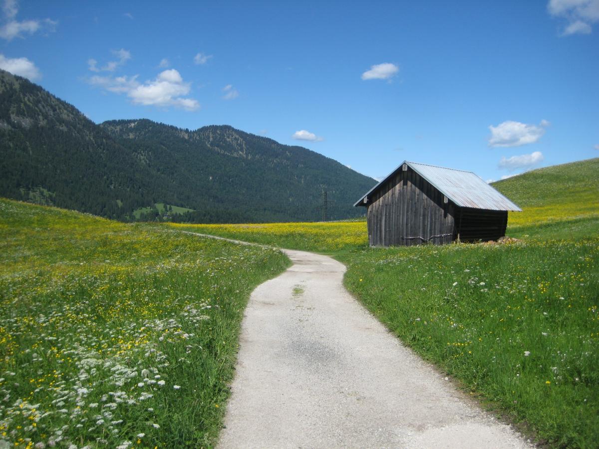 A rural landscape featuring a winding dirt path leading towards a small wooden cabin. The scene is surrounded by vibrant green fields dotted with wildflowers under a clear blue sky, with rolling hills and mountains in the background. Garthof Partnachklamm Trail mountain bike trail.
