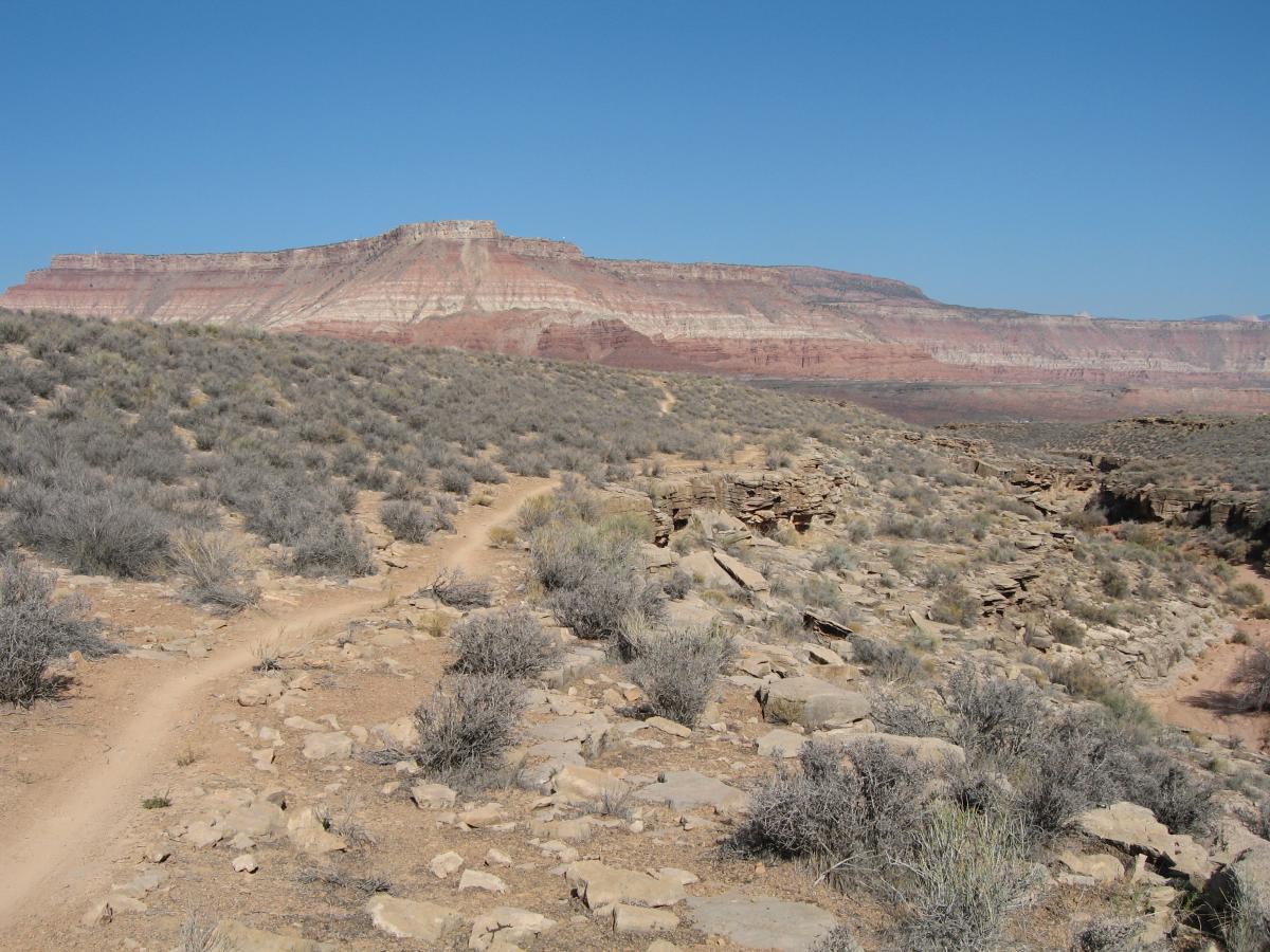 A desert landscape featuring a winding dirt trail leading through arid terrain with sparse vegetation. In the background, a prominent flat-topped rock formation rises against a clear blue sky, showcasing layered geological formations in shades of red and beige. The scene embodies the natural beauty of a dry, rugged environment. J.E.M. Trail mountain bike trail.