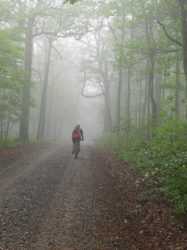 A person riding a bicycle on a gravel path through a misty forest, surrounded by trees and greenery. Hickory Nut mountain bike trail.