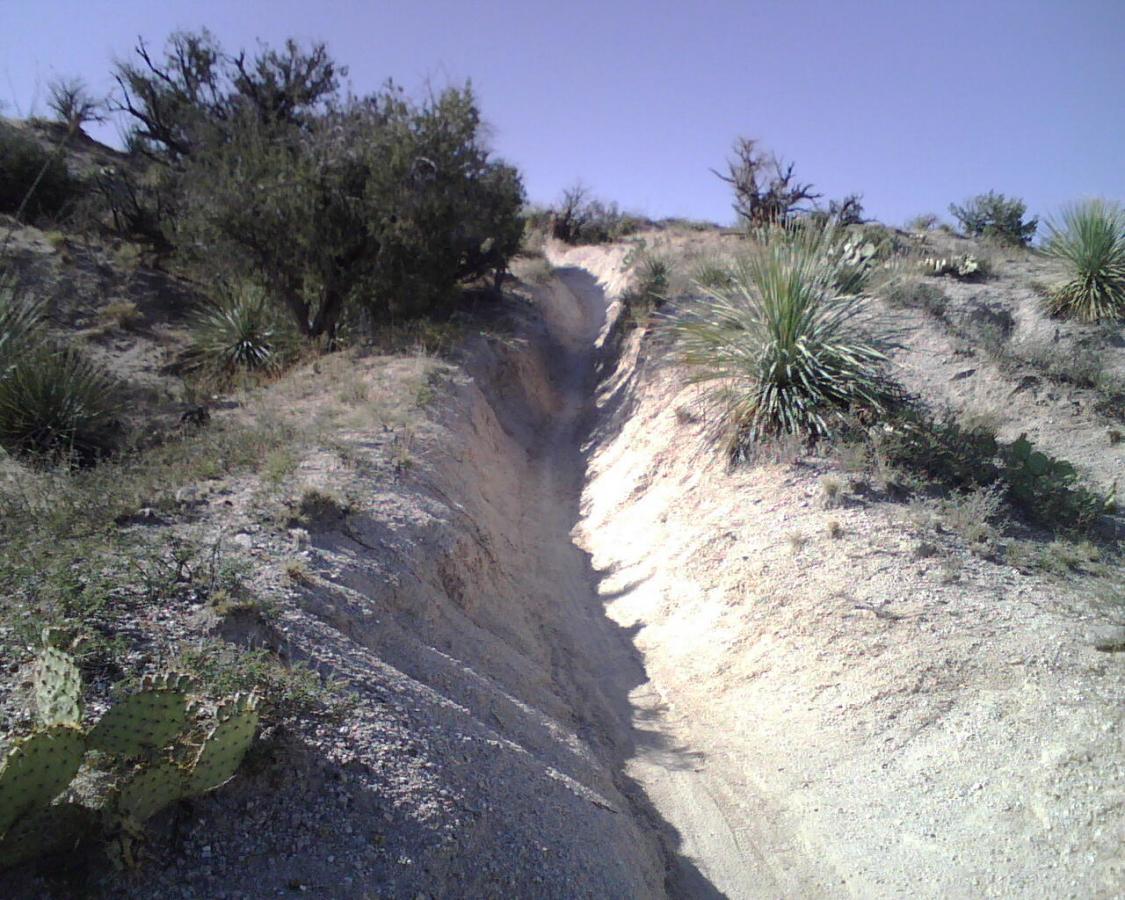 A sandy trail winding through a desert landscape, bordered by sparse vegetation including shrubs and cacti. The scene is under a clear blue sky, showcasing the natural contours of the terrain. 50-year Trail / Golder Ranch mountain bike trail.