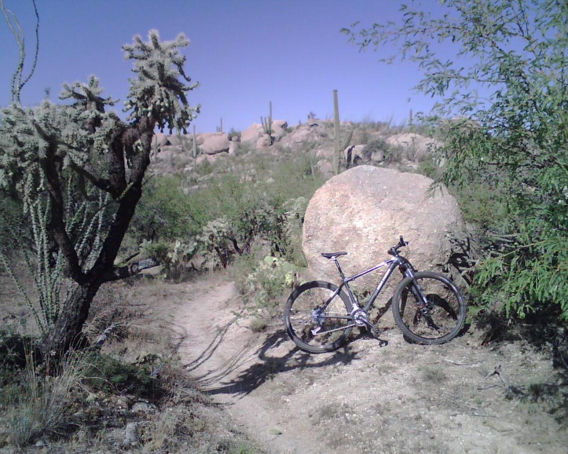 A mountain bike resting against a large boulder along a rugged dirt trail surrounded by desert vegetation, including cacti and shrubs, under a clear blue sky. 50-year Trail / Golder Ranch mountain bike trail.