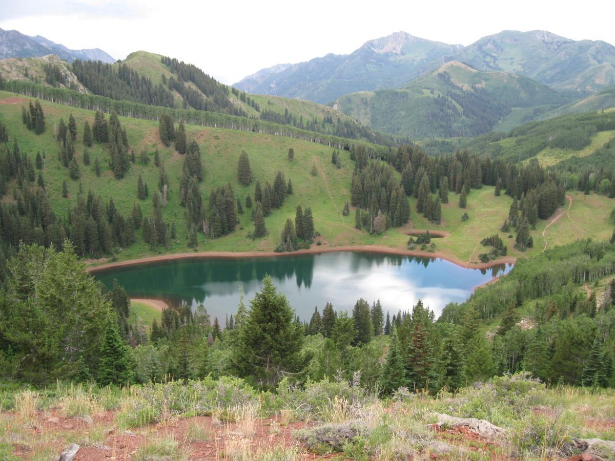 A scenic view of a serene mountain lake surrounded by lush green hills and dense pine forests, with distant mountains visible in the background under a partly cloudy sky. The lake's surface reflects the surrounding landscape, creating a peaceful and picturesque natural setting. Wasatch Crest mountain bike trail.