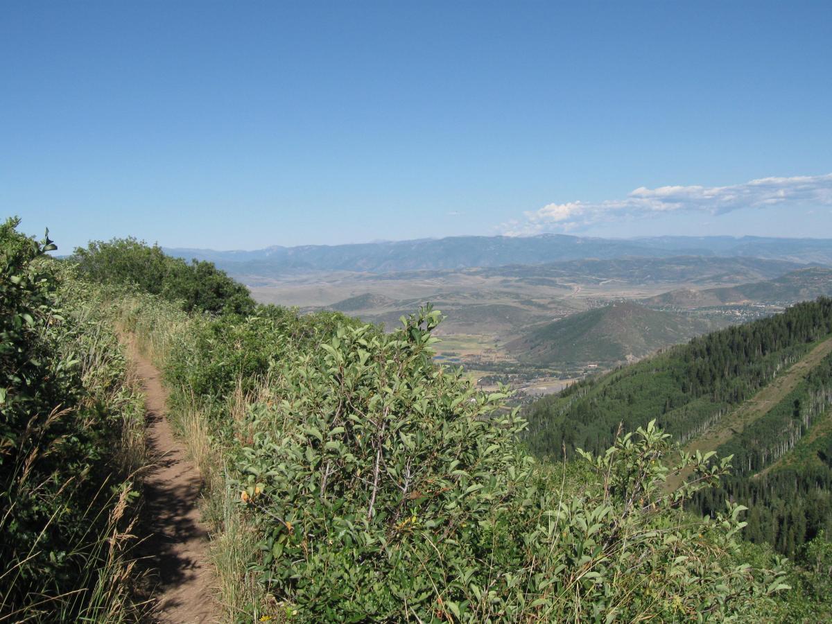 A scenic view from a mountain trail, showcasing a dirt path bordered by green bushes and grass. In the background, rolling hills and valleys extend into the distance under a clear blue sky with a few scattered clouds. Mid Mountain mountain bike trail.