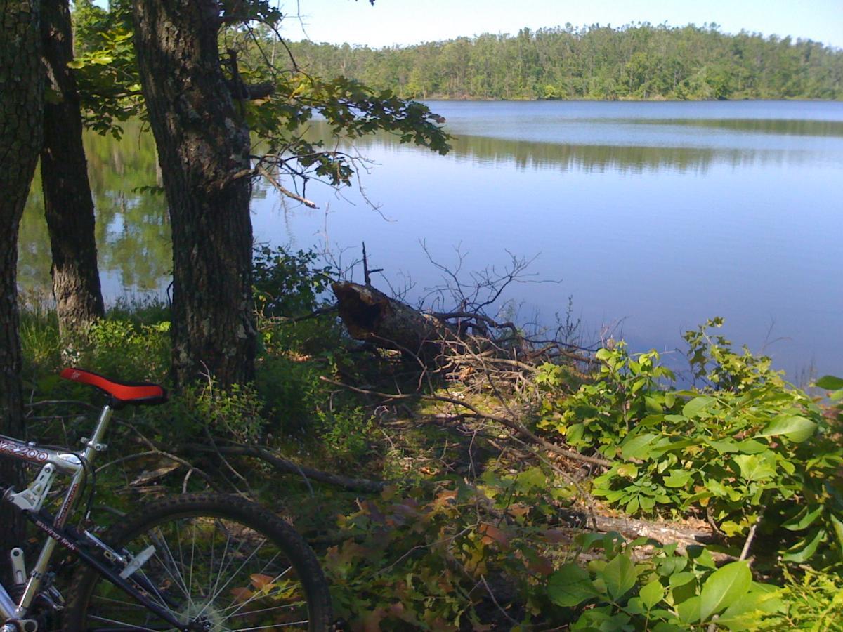 A tranquil lakeside scene featuring a calm body of water surrounded by trees and lush greenery. In the foreground, a mountain bike rests on the ground, leaning against a tree. The setting conveys a sense of nature and outdoor recreation. Grapevine Lake  A&amp;b mountain bike trail.