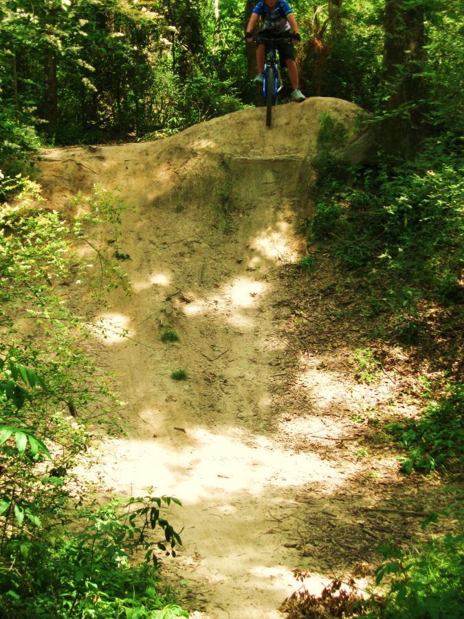 A mountain biker jumping off a dirt ramp in a lush, green forest, surrounded by trees and vegetation. Comite Trails mountain bike trail.