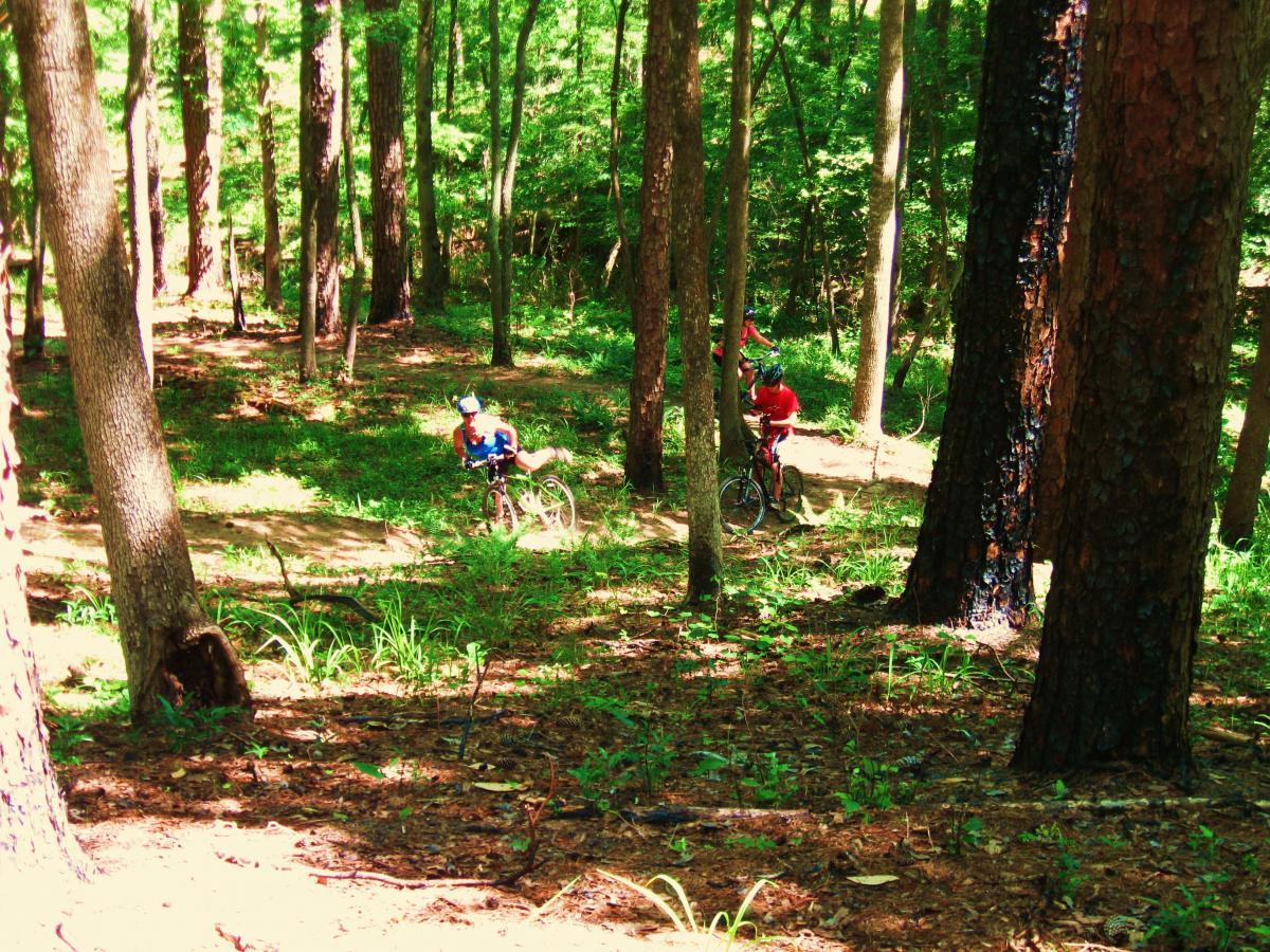 Two mountain bikers navigating a wooded trail surrounded by tall trees and green foliage. The scene captures the vibrant colors of nature in a sunlit forest, emphasizing the outdoor adventure. One biker is riding downhill, while the other is seen in the background, preparing to continue along the path. Clear Springs Rec. Area mountain bike trail.