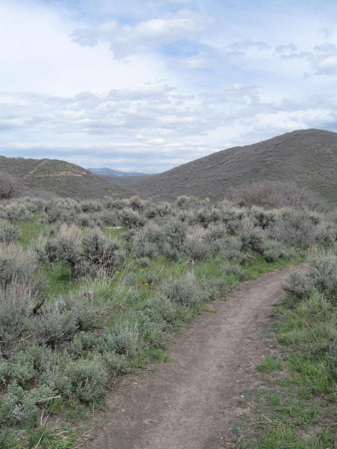 A dirt path winding through a landscape of sagebrush and grasses, with rolling hills in the background under a cloudy sky. Round Valley mountain bike trail.