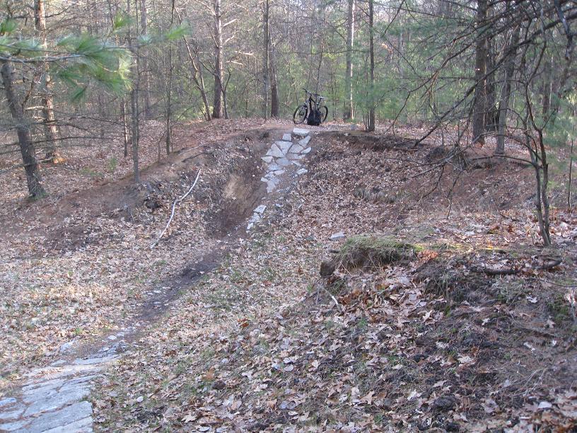 A mountain bike resting against a tree in a wooded area, with a dirt pathway leading to a jump made of rocks. The ground is covered in fallen leaves, and there are trees in the background, creating a natural and tranquil setting. Midland City Forest mountain bike trail.