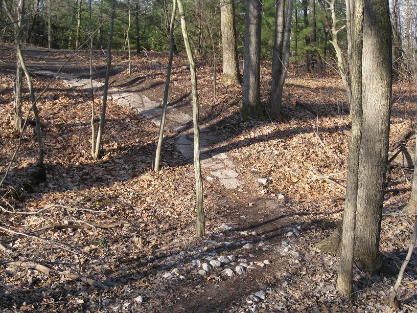 A winding dirt path through a wooded area, with scattered leaves on the ground and tall trees framing the trail. Sunlight casts shadows on the path, which is partially rocky and surrounded by autumn foliage. Midland City Forest mountain bike trail.