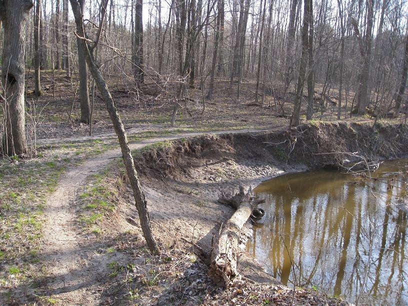 A winding dirt path alongside a calm waterway, surrounded by bare trees in a forest setting. The ground is uneven with patches of grass, and a fallen tree trunk lies near the water's edge. The scene is captured during daylight, showcasing a peaceful, natural environment. Midland City Forest mountain bike trail.