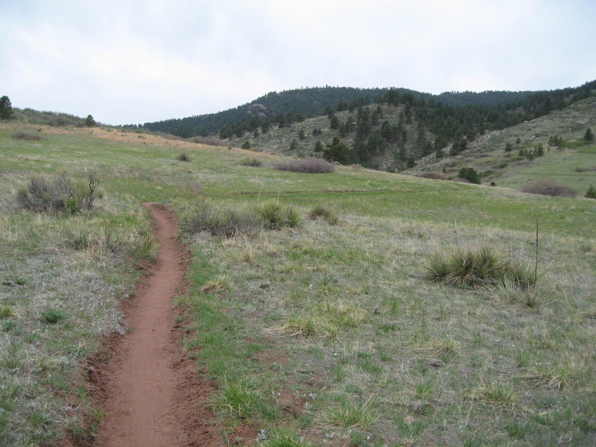 A winding dirt trail meanders through a grassy landscape, leading towards distant rolling hills covered in sparse trees under a cloudy sky. The scene captures the tranquil beauty of nature, showcasing open green fields and the rugged terrain in the background. Lory State Park mountain bike trail.
