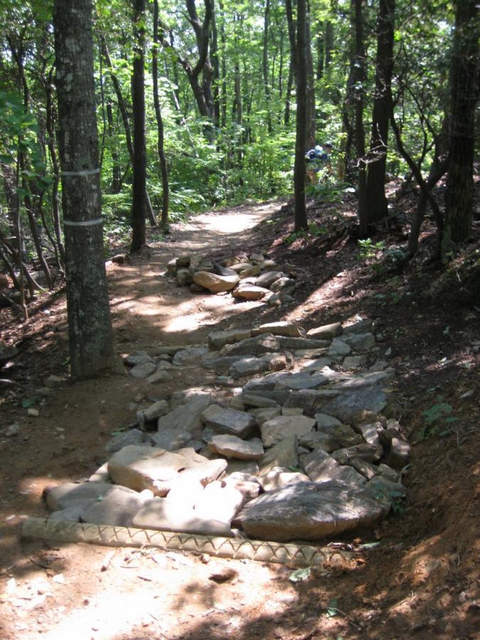 A natural forest trail winding through trees, with a rocky path visible in the foreground. The path is bordered by greenery and sunlight filters through the leaves, creating a serene atmosphere. Bent Creek mountain bike trail.