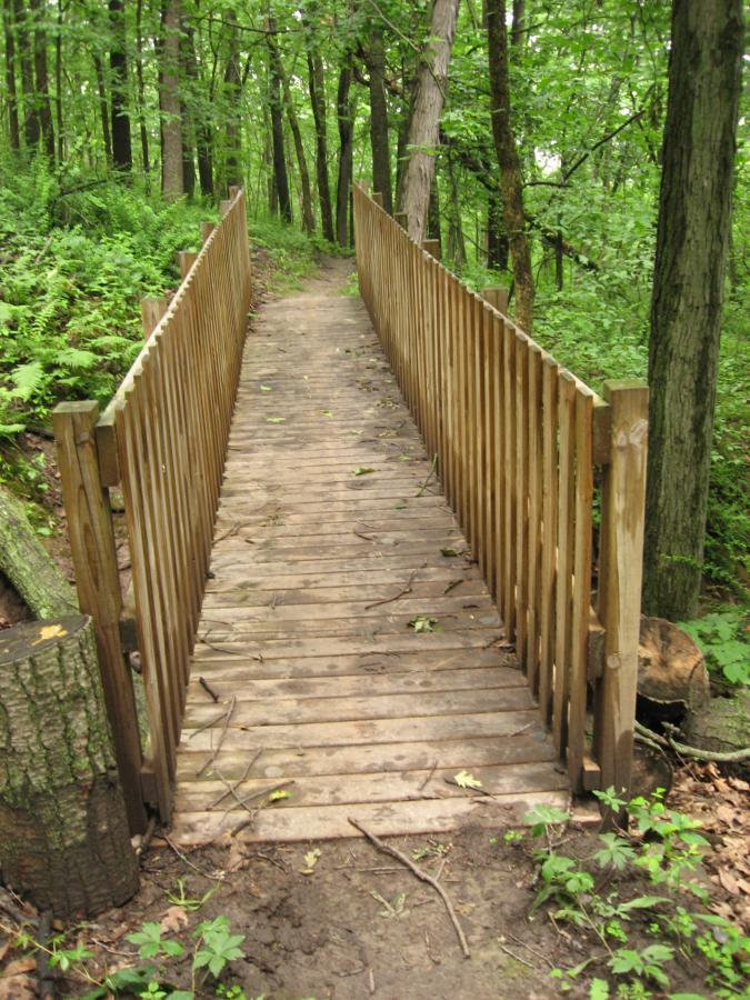 Wooden footbridge winding through a green forest pathway, surrounded by trees and foliage. The bridge features wooden railings and has a natural earth path leading up to it, with scattered leaves and twigs on the ground. Hixon Forest mountain bike trail.
