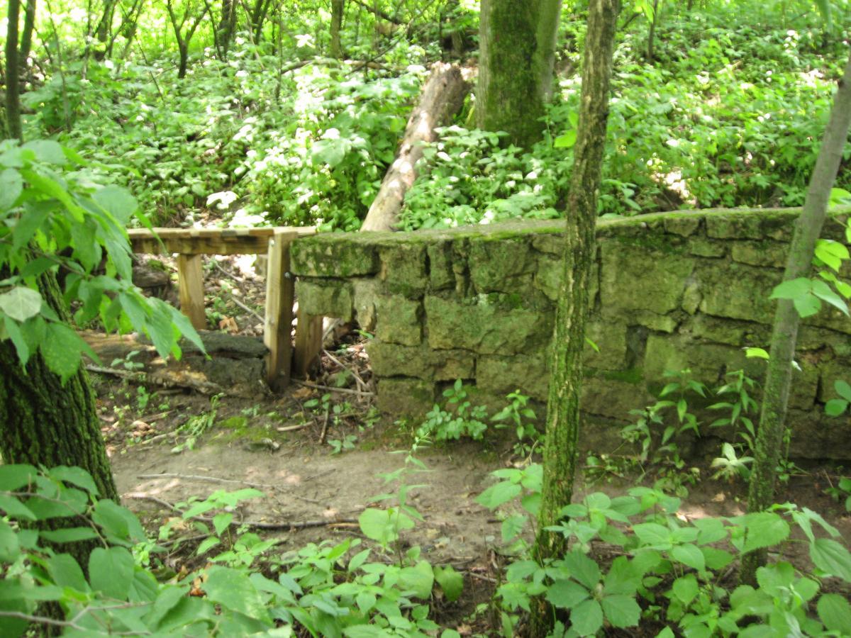 A wooden bridge leads over a stone wall, surrounded by dense green foliage and trees. The scene is set in a wooded area with rich undergrowth and sunlight filtering through the leaves. Hixon Forest mountain bike trail.
