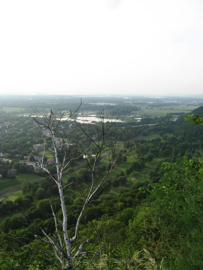A scenic view from a hillside, featuring a barren white tree branch in the foreground. Below, a lush green landscape includes a small town, winding roads, and fields, with calm water bodies reflecting the sky in the distance. The scene is slightly hazy, suggesting a serene, overcast day. Bluff Trails mountain bike trail.
