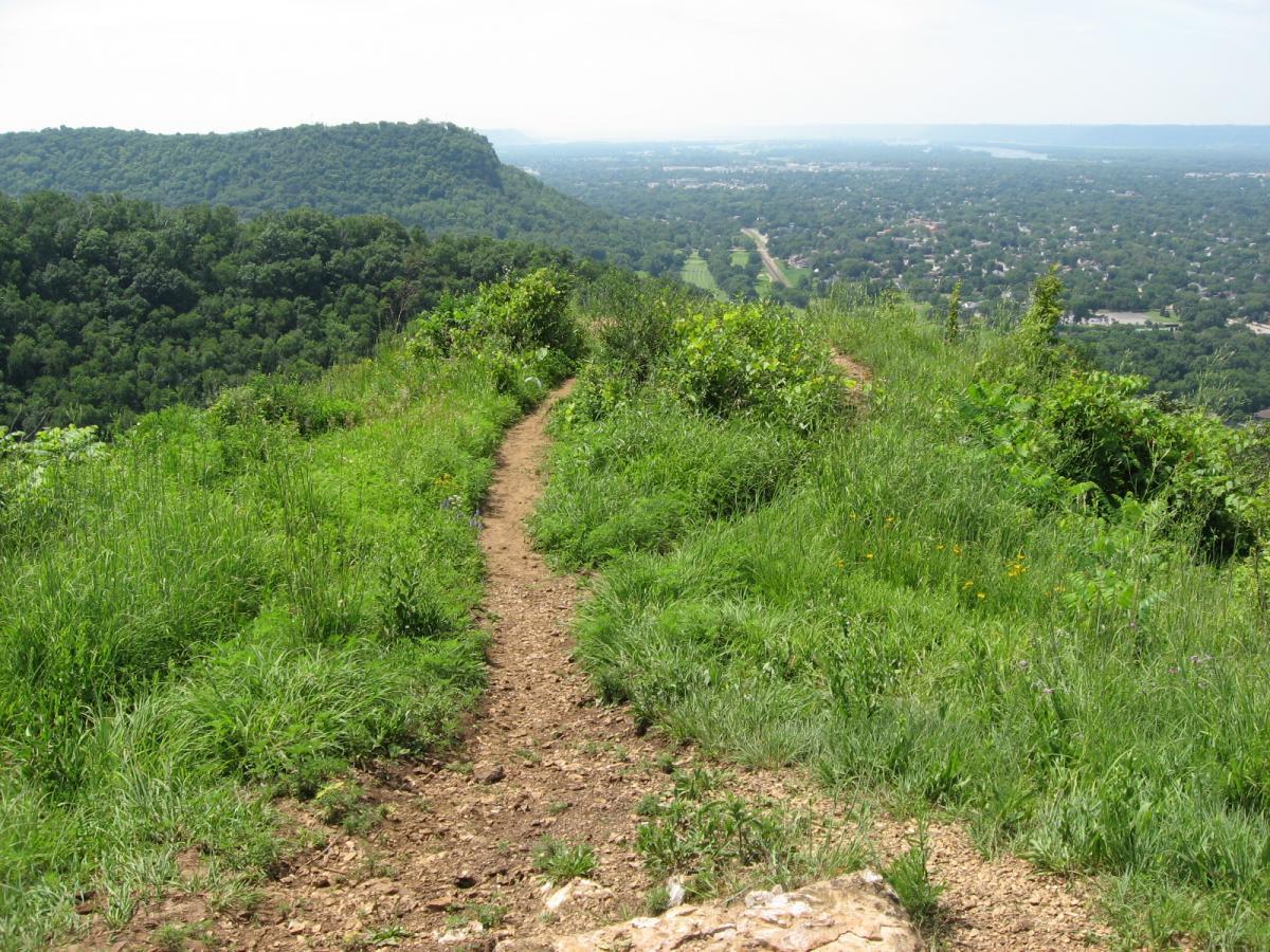 A narrow dirt path winding through lush green grass and vegetation, leading to a scenic overlook of rolling hills and a distant view of a town below, under a clear sky. Bluff Trails mountain bike trail.