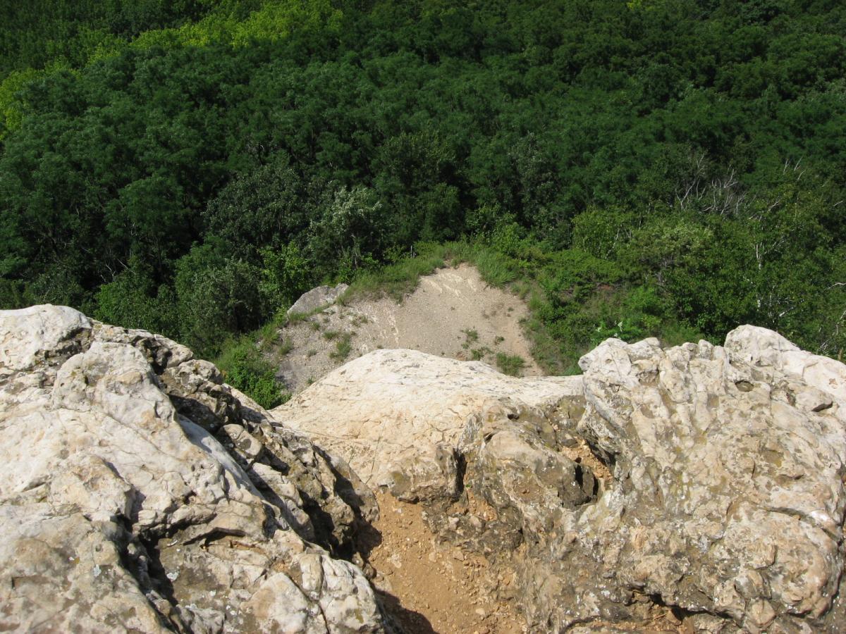 A view from a rocky ledge overlooking a dense forest below, with the foreground featuring rugged stone textures and patches of dirt. The green canopy of trees fills the background, indicating a lush, natural environment. Bluff Trails mountain bike trail.