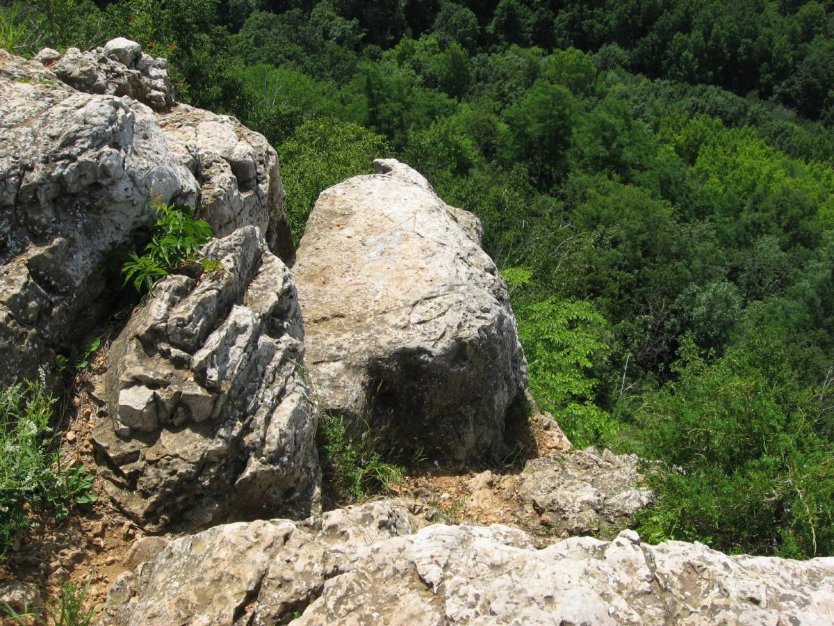 A rocky cliff edge with textured stones in the foreground, overlooking a lush green forest filled with trees in the background under bright sunlight. Bluff Trails mountain bike trail.