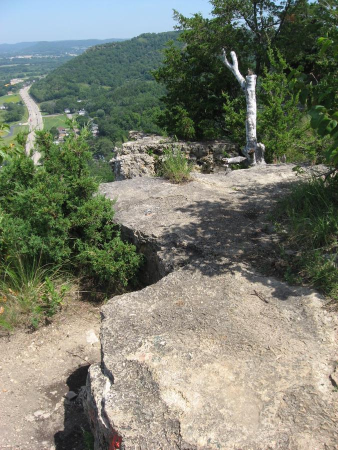 A rocky overlook with a view of rolling hills and a winding road below, surrounded by greenery. A partially dead tree stands on the edge of the cliff, adding to the natural scenery. Bluff Trails mountain bike trail.