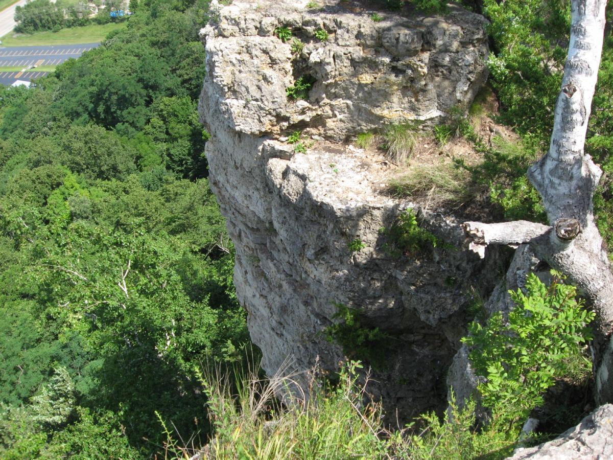 A rugged rocky cliff edge with patches of grass and small plants, overlooking a dense forest of green trees below. A white tree trunk extends from the cliff, blending with the natural surroundings. In the background, a paved area is visible, partially obscured by trees. Bluff Trails mountain bike trail.