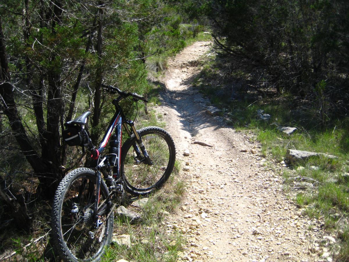 A mountain bike leaning against a tree along a dirt trail surrounded by greenery and rocky terrain. The path winds into the distance, showcasing a peaceful outdoor setting suitable for biking or hiking. Madrone Trail mountain bike trail.