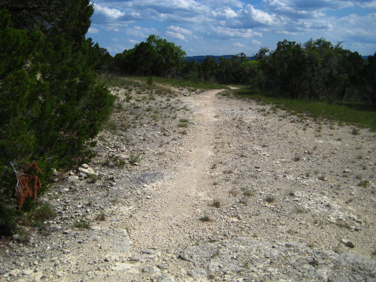 A winding dirt path through a rocky terrain surrounded by sparse vegetation and trees under a partly cloudy sky. Madrone Trail mountain bike trail.