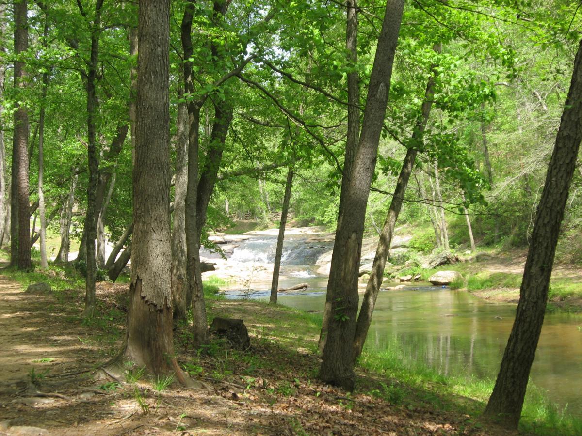 A serene forest scene featuring tall trees with lush green leaves, beside a gently flowing river with small rapids. A dirt path winds through the trees, leading to the water's edge, where smooth rocks are scattered along the bank. The sunlight filters through the foliage, creating a peaceful atmosphere. Victoria Bryant State Park mountain bike trail.