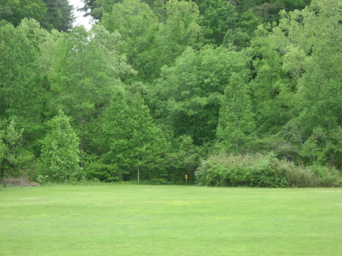 A lush green field bordered by a dense forest of various trees, showcasing vibrant foliage and a natural setting. The foreground features a well-maintained grassy area, while the background consists of thick trees in varying shades of green. Unicoi State Park mountain bike trail.