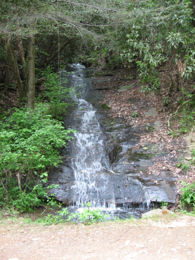 A serene, natural scene featuring a small water cascade flowing over smooth rocks, surrounded by lush green foliage and trees. The area is dotted with fallen leaves, indicating a peaceful wilderness setting. Hickory Nut mountain bike trail.